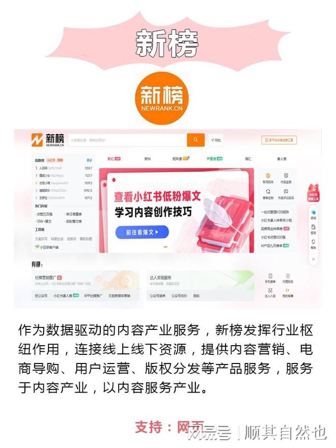 体运营都在用的高效分析工具CQ9电子数据为王！新媒(图5)